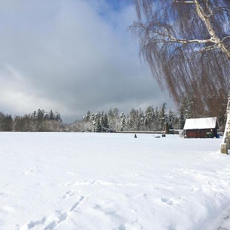 Sunny Freudenstadt Dış mekan fotoğraf