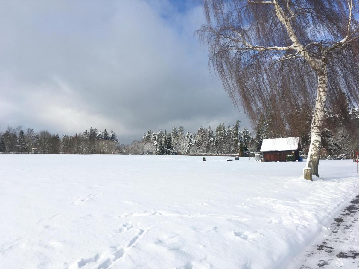Sunny Freudenstadt Dış mekan fotoğraf